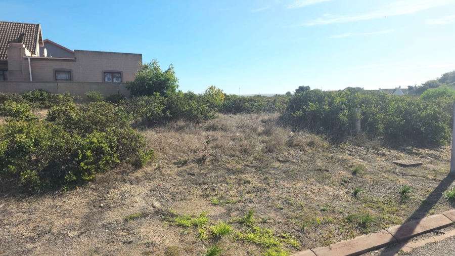 0 Bedroom Property for Sale in Bluewater Bay Western Cape